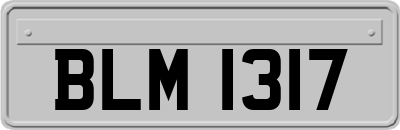 BLM1317