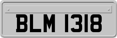 BLM1318