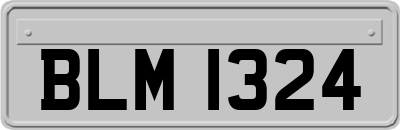 BLM1324