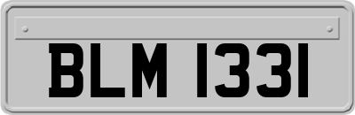 BLM1331