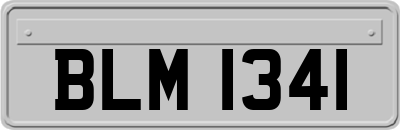 BLM1341
