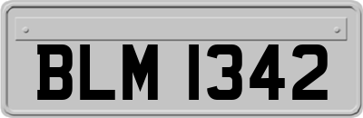 BLM1342