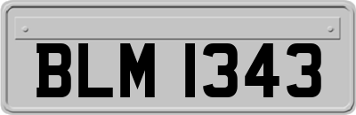 BLM1343