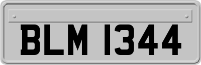 BLM1344