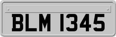 BLM1345