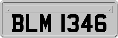 BLM1346