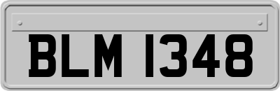 BLM1348