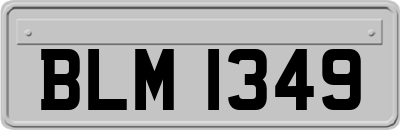 BLM1349