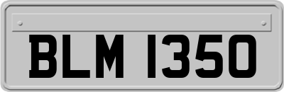BLM1350