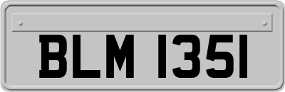 BLM1351