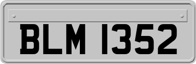 BLM1352