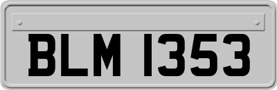 BLM1353