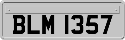 BLM1357