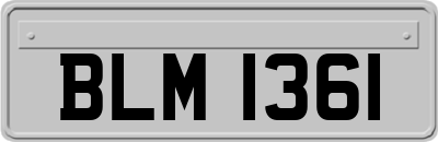BLM1361