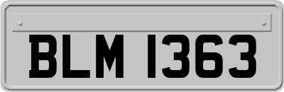 BLM1363