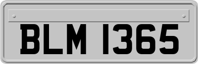 BLM1365