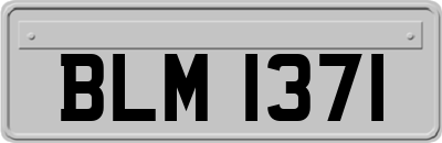 BLM1371