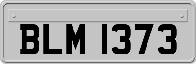 BLM1373