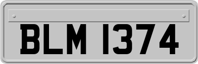 BLM1374