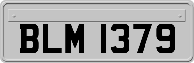 BLM1379