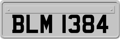 BLM1384