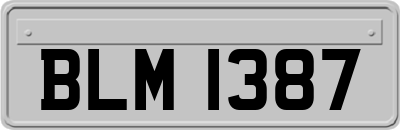 BLM1387