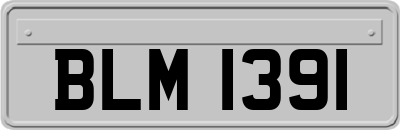 BLM1391