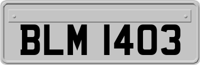 BLM1403