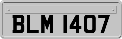 BLM1407