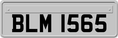 BLM1565