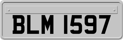 BLM1597