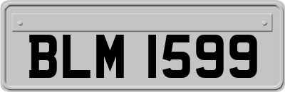 BLM1599