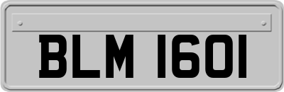 BLM1601