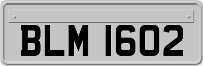 BLM1602