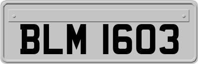 BLM1603