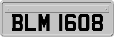 BLM1608