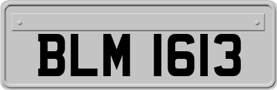 BLM1613