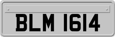 BLM1614