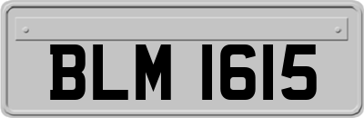 BLM1615