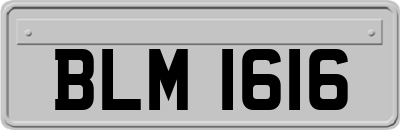 BLM1616