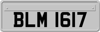 BLM1617