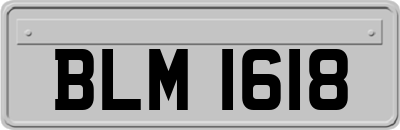 BLM1618