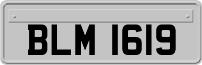 BLM1619