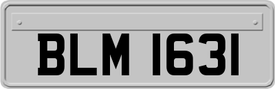 BLM1631