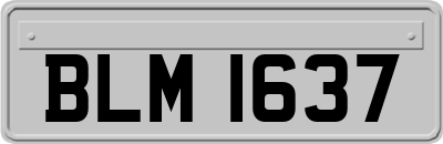 BLM1637