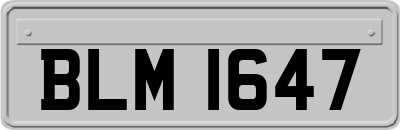 BLM1647