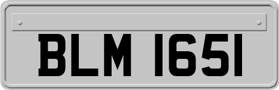 BLM1651