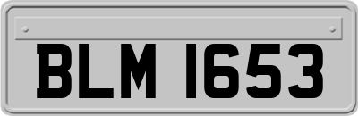 BLM1653