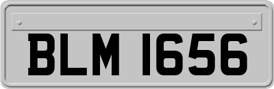 BLM1656