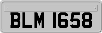 BLM1658